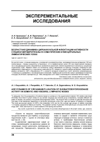 Возрастная динамика цирканнуальной флюктуации активности сукцинатдегидрогеназы в соматических и висцеральных лимфатических узлах