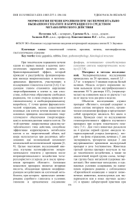 Морфология печени кроликов при экспериментально вызванном гепатите и коррекции его средством метаболического действия