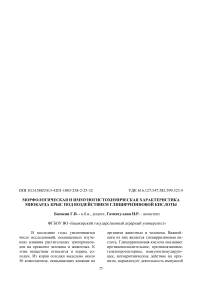 Морфологическая и иммуно-гистохимическая характеристика миокарда крыс под воздействием глицирризиновой кислоты