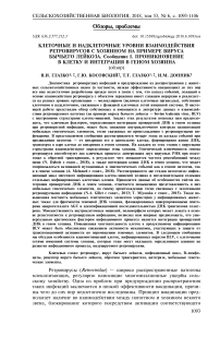 Клеточные и надклеточные уровни взаимодействия ретровирусов с хозяином на примере вируса бычьего лейкоза. Сообщение I. Проникновение в клетку и интеграция в геном хозяина