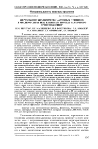 Образование биологически активных пептидов в мясном сырье под влиянием протеаз различного происхождения