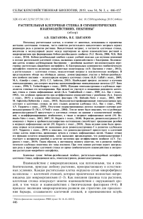 Растительная клеточная стенка в симбиотических взаимодействиях. Пектины