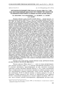 Энтомопатогенный гриб Beauveria bassiana (bals-criv.) Vuill. как перспективный биоагент регуляции численности малинной побеговой галлицы Resseliella theobaldi (Barnes)