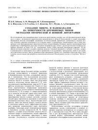 Создание микро- и наноканалов на поверхности кремниевых чипов методами оптической и ионной литографии