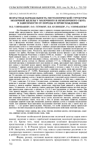 Возрастная вариабельность гистологической структуры молочной железы у молочного и немолочного скота в зависимости от породы и происхождения