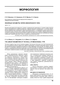 Линейные параметры черепа мезокранного типа