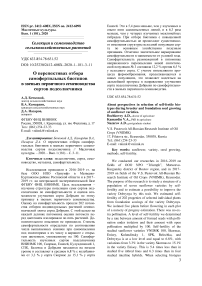 О перспективах отбора самофертильных биотипов в звеньях первичного семеноводства сортов подсолнечника