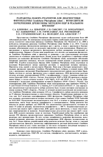 Разработка набора реагентов для диагностики фитоплазмы Candidatus phytoplasma Solani - возбудителя почернения древесины методом ПЦР в реальном времени