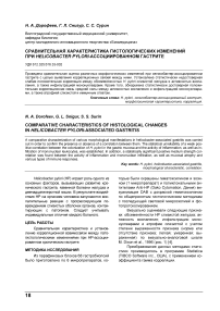 Сравнительная характеристика гистологических изменений при Helicobacter pylori-ассоциированном гастрите