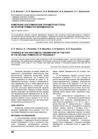 Изменение анатомических параметров стопы во втором триместре беременности