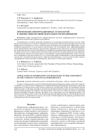 Применение информационных технологий к оценке финансовой деятельности предприятия
