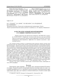 Качество зерна яровой мягкой пшеницы в условиях Северного Казахстана