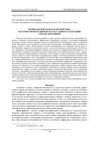 Морфологическая характеристика маточно-мочепузырной части тазового сплетения собаки домашней