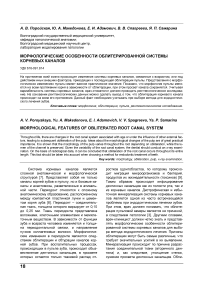 Морфологические особенности облитерированной системы корневых каналов