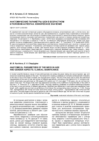 Анатомические параметры шеи в возрастном и половом аспектах. Клиническое значение