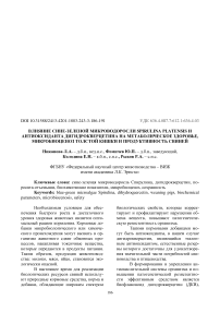 Влияние синезеленой микроводоросли Spirulina platensis и антиоксиданта дигидрокверцетина на метаболическое здоровье, микробиоценоз толстой кишки и продуктивность свиней