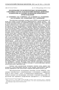 Поддержание мультипотентных мезенхимных стволовых клеток сельскохозяйственных животных в криогелях на основе полимеров природного происхождения