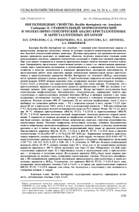 Инсектицидные свойства Bacillus thuringiensis var. Israelensis. Сообщение II. Сравнительный морфологический и молекулярно-генетический анализ кристаллогенных и акристаллогенных штаммов