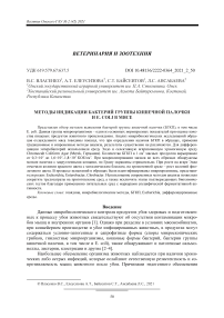 Методы индикации бактерий группы кишечной палочки и E. coli в мясе