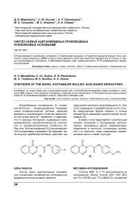 Синтез новых ацетанилидных производных нуклеиновых оснований