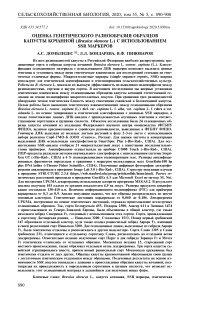 Оценка генетического разнообразия образцов капусты кочанной (Brassica oleracea L.) с использованием SSR маркеров