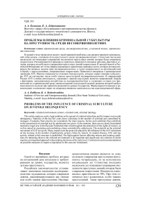 Проблемы влияния криминальной субкультуры на преступность среди несовершеннолетних