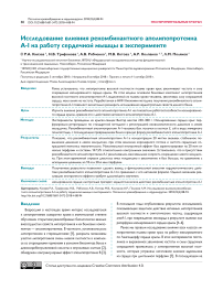 Исследование влияния рекомбинантного аполипопротеина А-I на работу сердечной мышцы в эксперименте