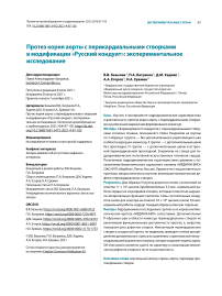 Протез корня аорты с перикардиальными створками в модификации «Русский кондуит»: экспериментальное исследование