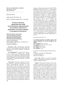 К искусственному заражению растений подсолнечника современными патотипами возбудителя ржавчины для использования в селекции на иммунитет