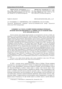 Влияние засухи на хозяйственно ценные признаки яровой мягкой пшеницы в условиях лесостепной зоны Курганской области