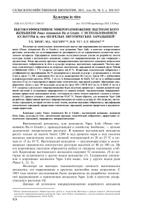 Высокоэффективное микроразмножение вьетнамского женьшеня Panax vietnamensis Ha et Grushv. С использованием культуры in vitro незрелых зиготических зародышей