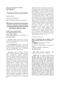 Видовой состав растительноядных клопов в посевах подсолнечника в центральной агроклиматической зоне Краснодарского края