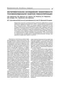 Экспериментальное исследование эффективности трансмиокардиальной лазерной реваскуляризации