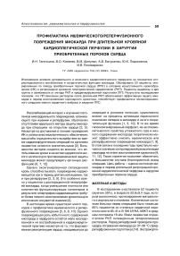 Профилактика ишемического/реперфузионного повреждения миокарда при длительной кровяной кардиоплегической перфузии в хирургии приобретенных пороков сердца