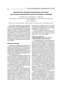 Морфология атриовентрикулярных клапанов как основа выполнения реконструктивных операций