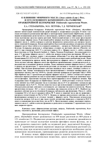 О влиянии эфирного масла Litsea cubeba (Lour.) Pers. и его основного компонента на развитие оранжерейной белокрылки Trialeurodes vaporariorum Westw