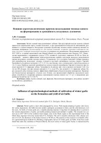 Влияние агротехнологических приемов возделывания чеснока озимого на формирование и урожайность воздушных луковичек