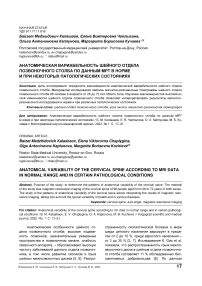 Анатомическая вариабельность шейного отдела позвоночного столба по данным МРТ в норме и при некоторых патологических состояниях