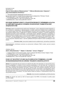 Изучение влияния нового сульфопроизводного пиримидин-4(1 Н)-она на нейродеградацию в условиях хронической травматической энцефалопатии