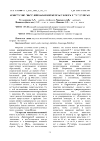 Мониторинг опухолей молочной железы у кошек в городе Перми