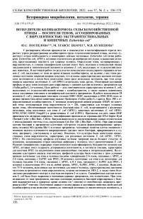 Возбудители колибактериоза сельскохозяйственной птицы - носители генов, ассоциированных с вирулентностью экстраинтестинальных и кишечных Escherichia coli