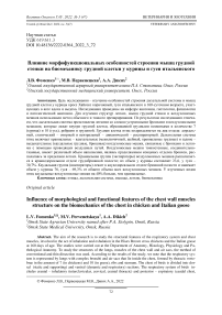 Влияние морфофункциональных особенностей строения мышц грудной стенки на биомеханику грудной клетки у курицы и гуся итальянского