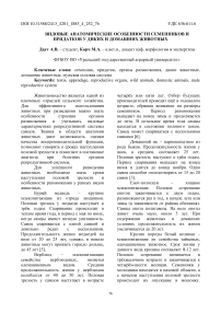 Видовые анатомические особенности семенников и придатков у диких и домашних животных