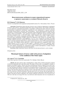 Фенотипические особенности коров джерсейской породы в процессе адаптации к условиям Омской области