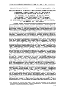 Продуктивность и экспрессия генов у цыплят-бройлеров (Gallus gallus L.) кросса Ross 308 под влиянием антибиотиков, глифосата и штамма Bacillus sp