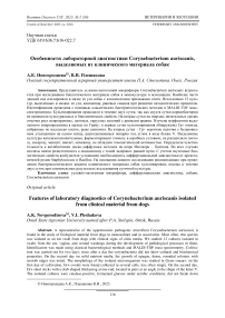 Особенности лабораторной диагностики Corynebacterium auriscanis, выделяемых из клинического материала собак