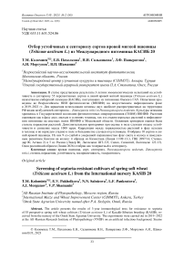 Отбор устойчивых к септориозу сортов яровой мягкой пшеницы (Triticum aestivum L.) из международного питомника Касиб 20