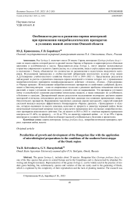 Особенности роста и развития сирени венгерской при применении микробиологических препаратов в условиях южной лесостепи Омской области