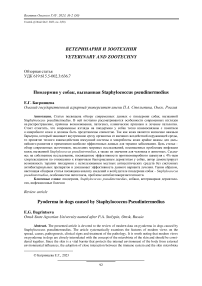 Пиодермия у собак, вызванная Staphylococcus рseudinermedius