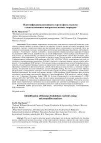Идентификация российских сортов фестулолиума с использованием микросателлитных маркеров